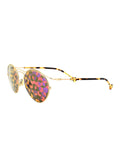 Diororigins1 Sunglasses - Gold Havana / Brown