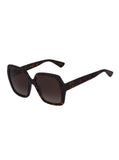 GG0096S-006 Round Sunglasses - Havana / Brown Gradient
